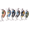 Aorace