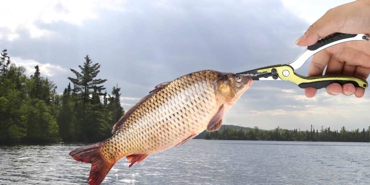 Melhores Alicates de Pesca