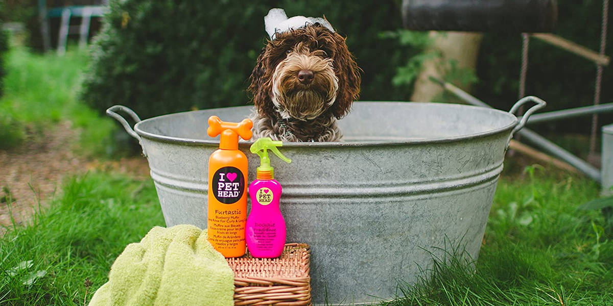 Melhores Shampoos para Cachorro