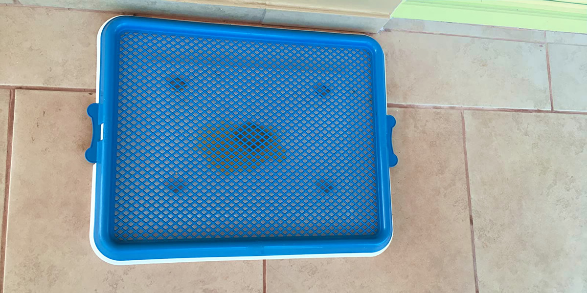 elhores Sanitários para Cachorro