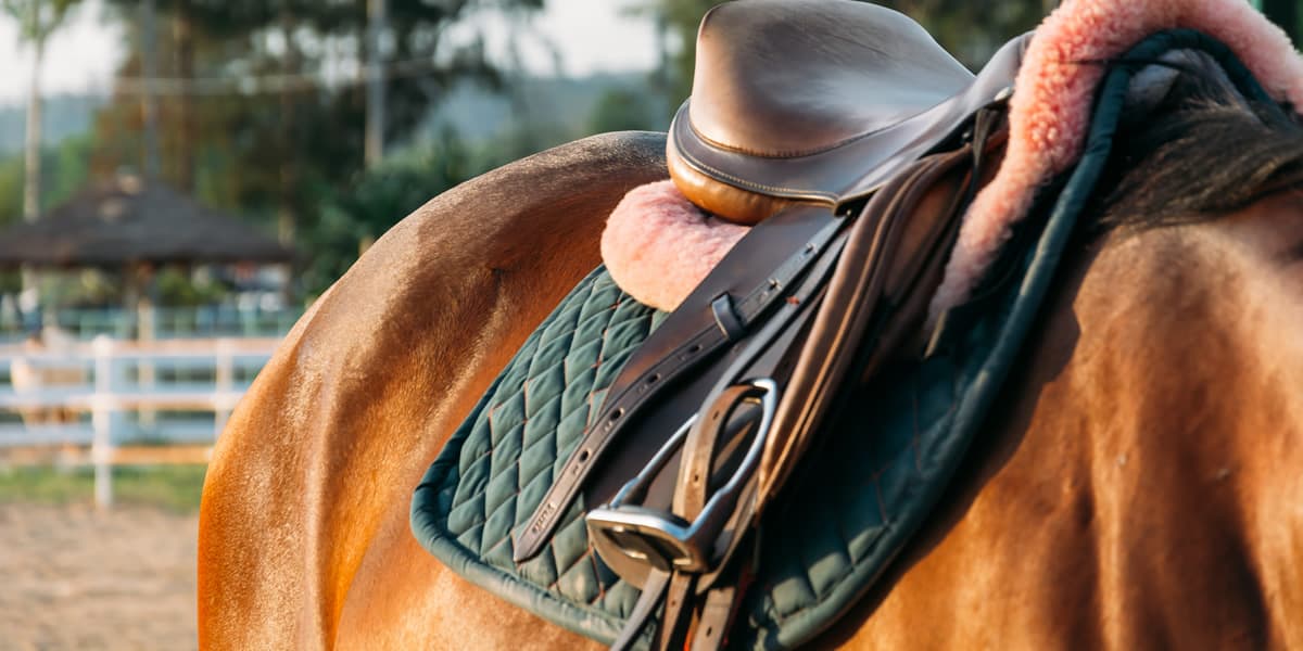 Melhores Selas Para Cavalo