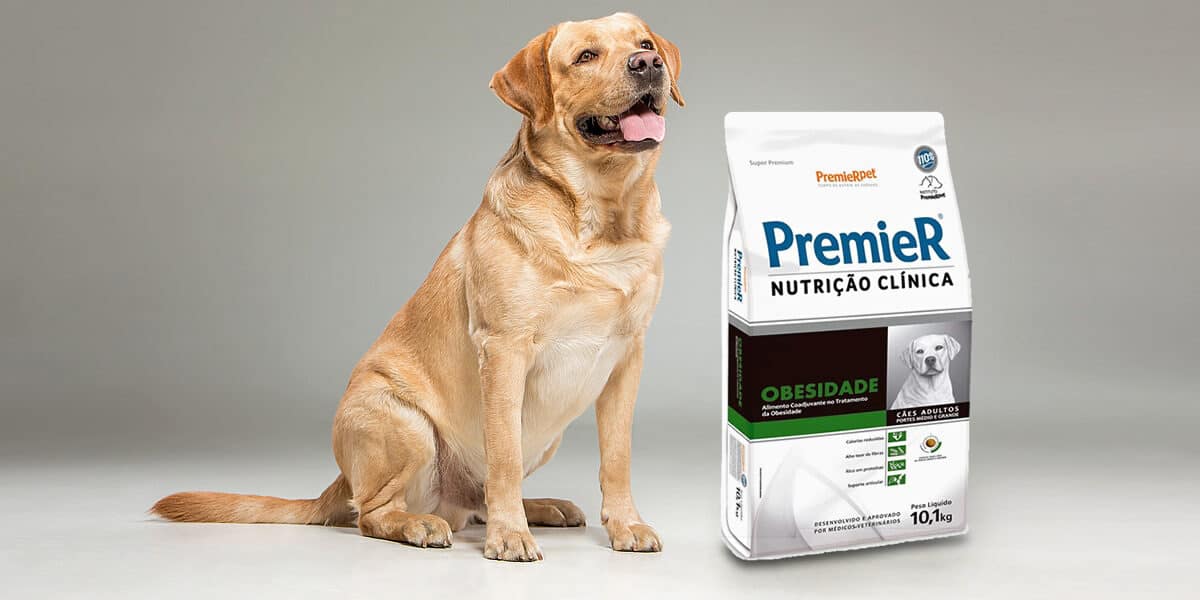 Melhores Rações para Cães Obesos