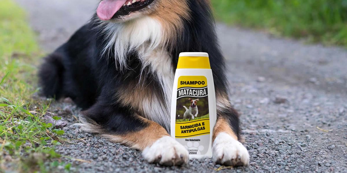 Melhores Remédios para Sarna de Cachorro