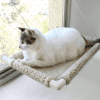 Cama de Gato Catbed Gatton
