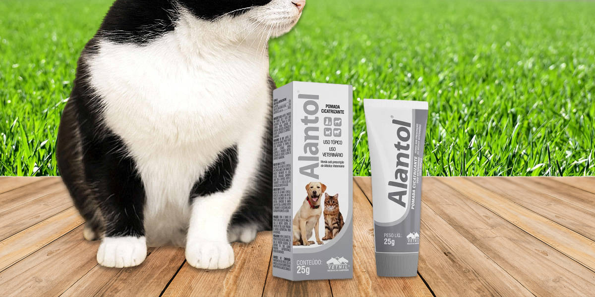 Melhores Pomadas Cicatrizantes para Gatos